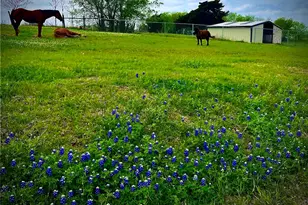 810 Cody Rd, Ennis, TX 75119 - Photo 30