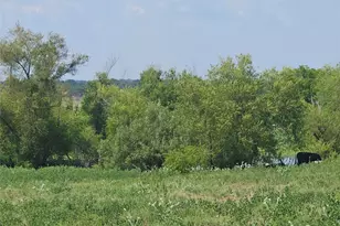 810 Cody Rd, Ennis, TX 75119 - Photo 12