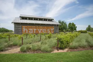 1010 Hawks Wy, Argyle, TX 76226 - Photo 34