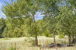 2675 Co Rd 1165, Brashear, TX 75420 - Photo 22