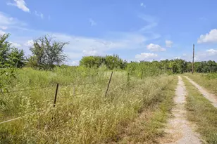 2675 Co Rd 1165, Brashear, TX 75420 - Photo 16