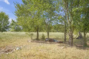 2675 Co Rd 1165, Brashear, TX 75420 - Photo 26