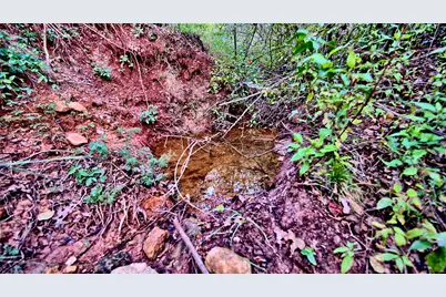 Lot 34 Red Oak Hills Road, Nocona, TX 76255 - Photo 6