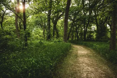 325 Bay Laurel Road, McKinney, TX 75071 - Photo 34