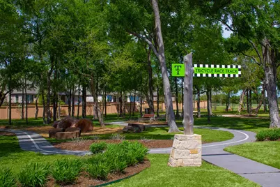 237 Bee Balm Road, McKinney, TX 75071 - Photo 30