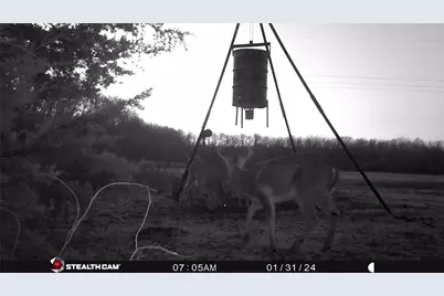 926 Cr-3211, Dodd City, TX 75438 - Photo 8