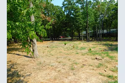 Tbd Sherwood Circle, Quinlan, TX 75474 - Photo 2