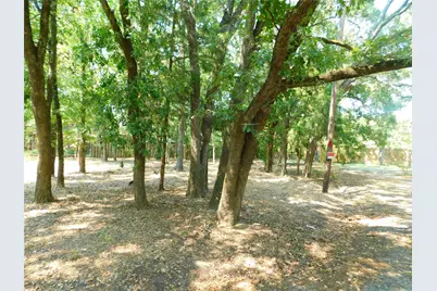 Tbd Sherwood Circle, Quinlan, TX 75474 - Photo 6