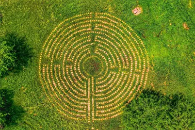 455 Fm 71, Commerce, TX 75428 - Photo 30