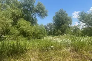 455 Fm 71, Commerce, TX 75428 - Photo 22