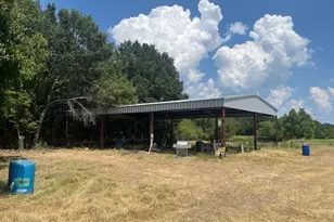 455 Fm 71, Commerce, TX 75428 - Photo 14
