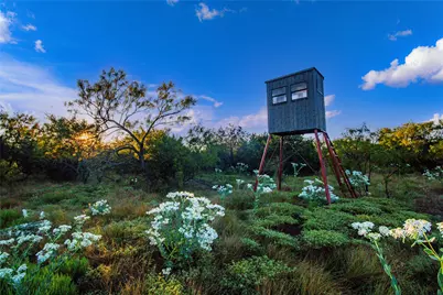 120 Mountain Drive, Graford, TX 76449 - Photo 4