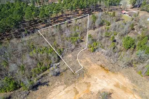 Lot 3 Piney Ln, Pittsburg, TX 75686 - Photo 1