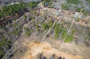 Lot 5 Piney Ln, Pittsburg, TX 75686 - Photo 1