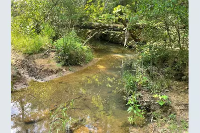 649 An County Road 1215, Grapeland, TX 75844 - Photo 12