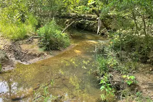 649 An County Road 1215, Grapeland, TX 75844 - Photo 12