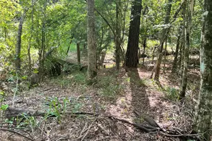 649 An County Road 1215, Grapeland, TX 75844 - Photo 14