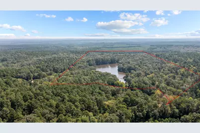 649 An County Road 1215, Grapeland, TX 75844 - Photo 2