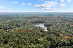 649 An County Road 1215, Grapeland, TX 75844 - Photo 2