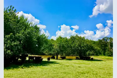 1476 County Road 2130, Telephone, TX 75488 - Photo 40