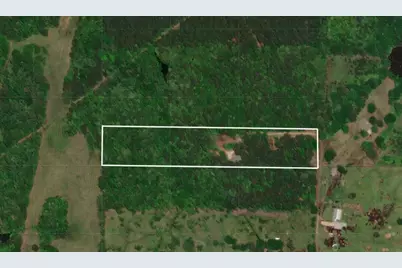 870 Cr 1675, Mt Pleasant, TX 75455 - Photo 14