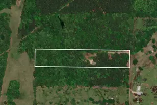 870 Cr 1675, Mt Pleasant, TX 75455 - Photo 14
