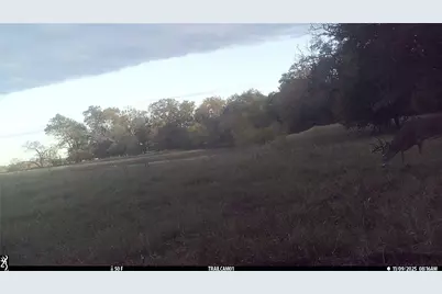 Tbd County Road 2130, Telephone, TX 75488 - Photo 14