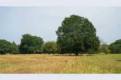 Tbd County Road 2130, Telephone, TX 75488 - Photo 12