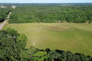 15223 Cr 188, Bullard, TX 75757 - Photo 4