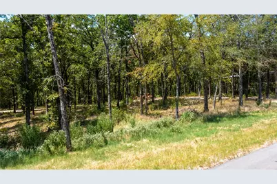 7321 Ranch Oaks Trail, Eustace, TX 75124 - Photo 6