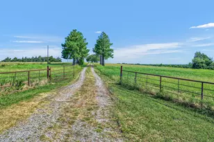 1200 Co Rd 1215, Savoy, TX 75479 - Photo 40