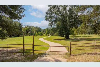 10660 State Highway 154 E, Diana, TX 75640 - Photo 6