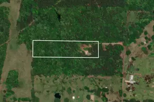 870 County Rd 1675, Mt Pleasant, TX 75455 - Photo 14