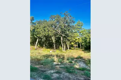 3242 Shadow Pine Drive, LaRue, TX 75770 - Photo 8