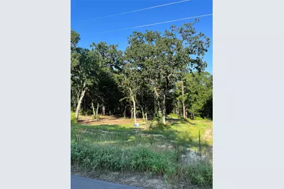 3242 Shadow Pine Drive, LaRue, TX 75770 - Photo 2