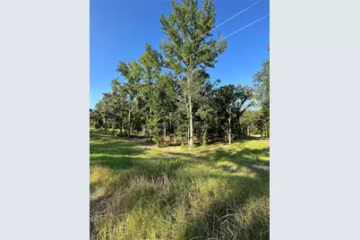 3226 Shadow Pine Drive, LaRue, TX 75770 - Photo 4