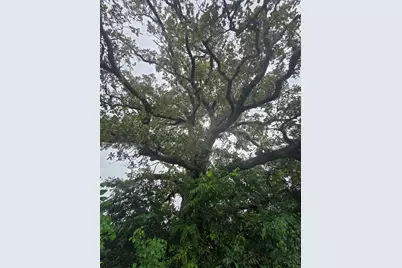 Lot 113 Shore Crest Way, Athens, TX 75752 - Photo 6