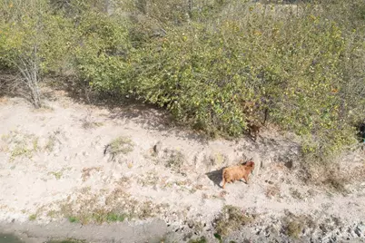 4081 Fm 2736 #A, Campbell, TX 75422 - Photo 6