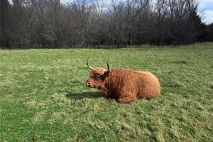 4081 Fm 2736, Campbell, TX 75422 - Photo 1