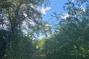 Lot 53 Harris, Sulphur Springs, TX 75482 - Photo 1