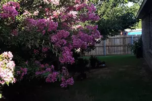 2708 Stockton St, Denton, TX 76209 - Photo 34