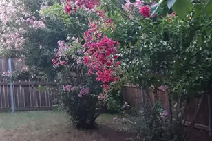 2708 Stockton St, Denton, TX 76209 - Photo 32