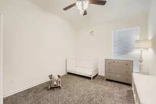 11301 Summer Rain Blvd, Aubrey, TX 76227 - Photo 24