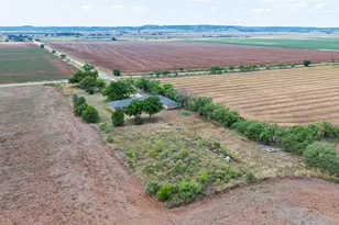 226 Co Rd 152, Tuscola, TX 79562 - Photo 40