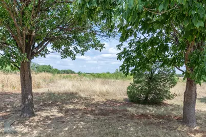 226 County Road 152, Tuscola, TX 79562 - Photo 6