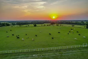 12900 County Rd 2803, Eustace, TX 75124 - Photo 10