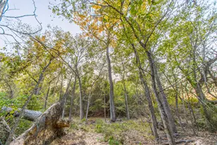 12900 County Rd 2803, Eustace, TX 75124 - Photo 38