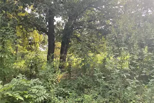 Tbd Lot 4 and 5 Goldwater, Kemp, TX 75143 - Photo 1