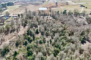 Tbd County Rd 3211, Pittsburg, TX 75686 - Photo 1