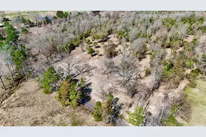 Tbd County Rd 3211, Pittsburg, TX 75686 - Photo 4